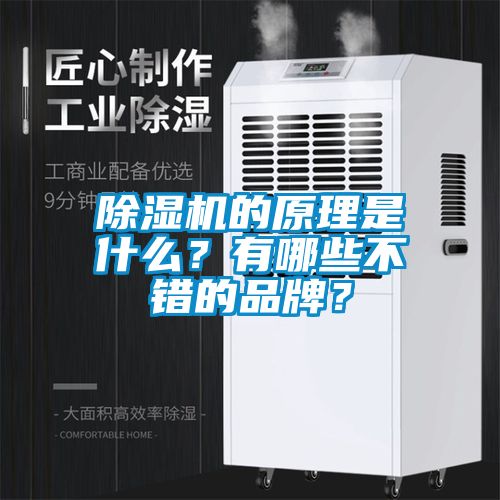除濕機(jī)的原理是什么？有哪些不錯(cuò)的品牌？
