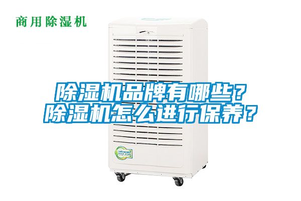 除濕機(jī)品牌有哪些？除濕機(jī)怎么進(jìn)行保養(yǎng)？