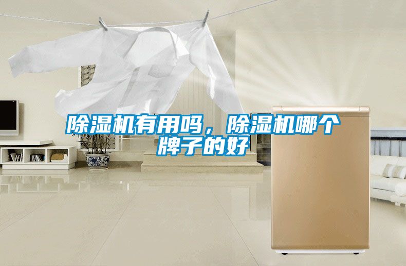 除濕機(jī)有用嗎，除濕機(jī)哪個(gè)牌子的好