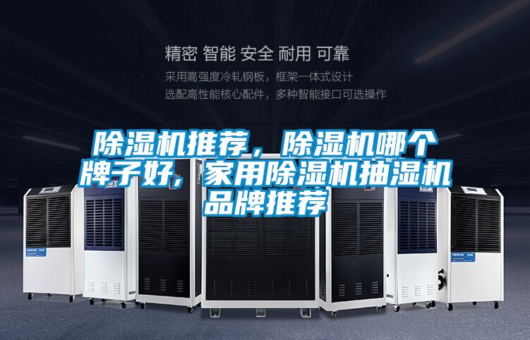 除濕機推薦，除濕機哪個牌子好, 家用除濕機抽濕機品牌推薦