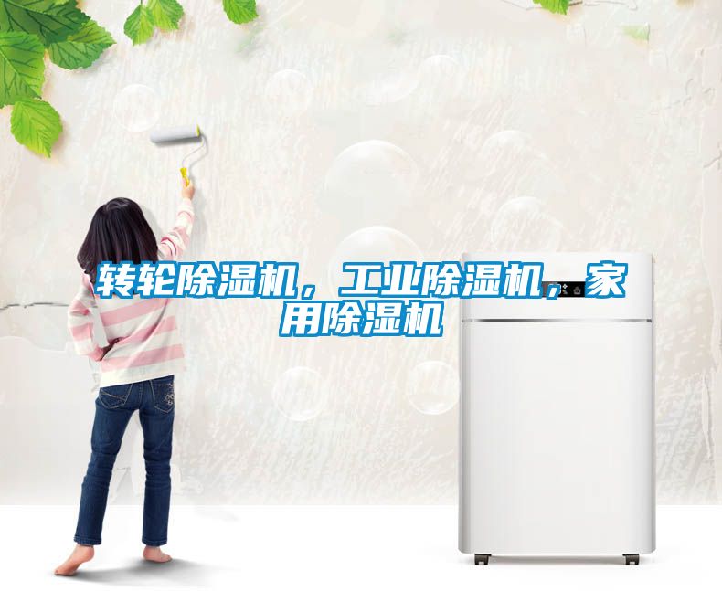 轉(zhuǎn)輪除濕機，工業(yè)除濕機，家用除濕機