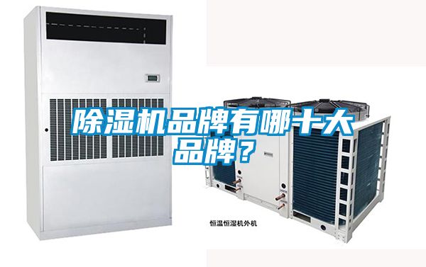 除濕機(jī)品牌有哪十大品牌？
