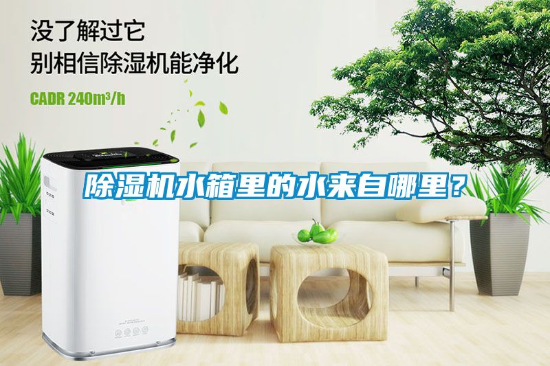 除濕機水箱里的水來自哪里？
