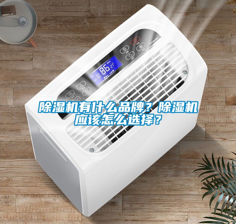 除濕機有什么品牌？除濕機應該怎么選擇？