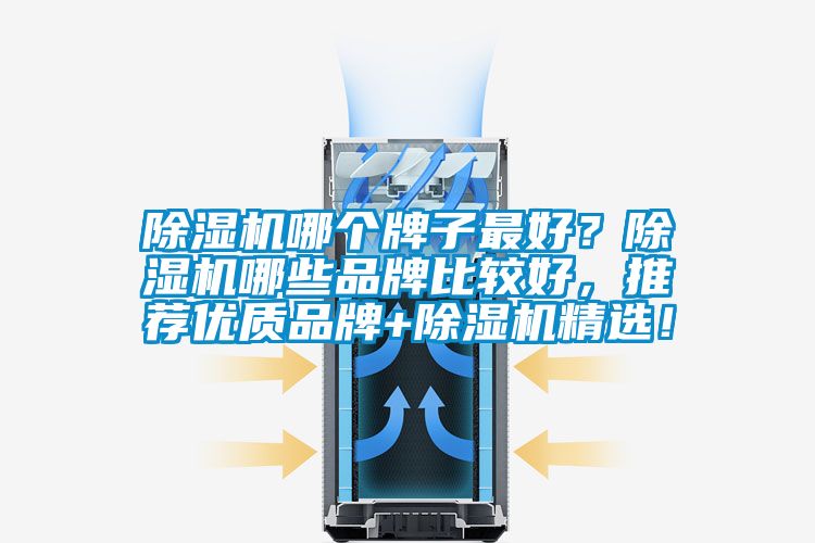 除濕機(jī)哪個牌子最好？除濕機(jī)哪些品牌比較好，推薦優(yōu)質(zhì)品牌+除濕機(jī)精選！