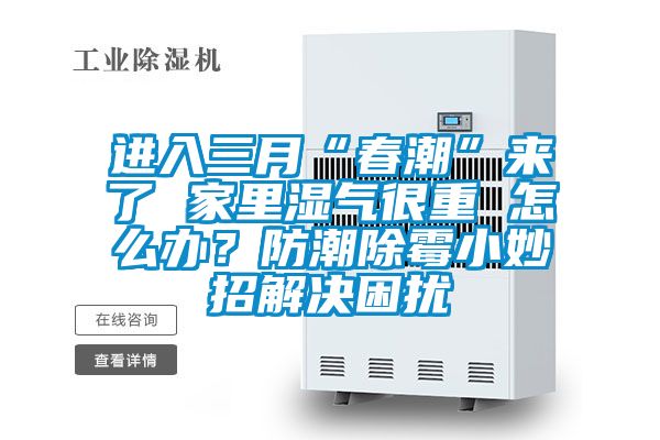 進(jìn)入三月“春潮”來(lái)了 家里濕氣很重 怎么辦？防潮除霉小妙招解決困擾
