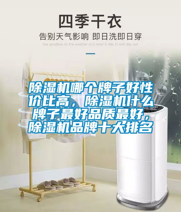 除濕機(jī)哪個(gè)牌子好性價(jià)比高，除濕機(jī)什么牌子最好品質(zhì)最好，除濕機(jī)品牌十大排名