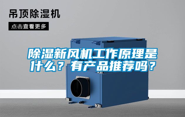 除濕新風(fēng)機(jī)工作原理是什么？有產(chǎn)品推薦嗎？