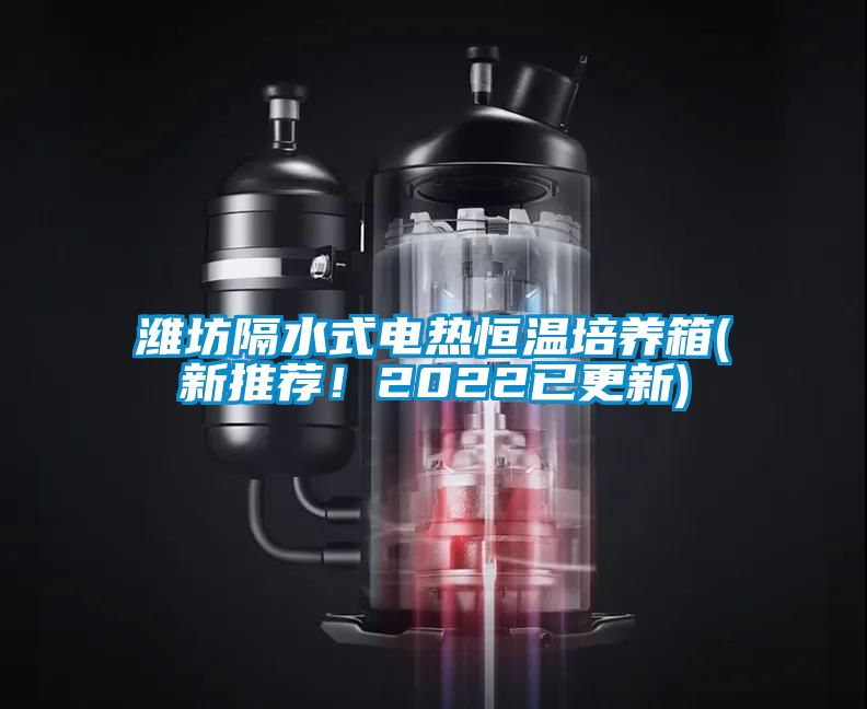 濰坊隔水式電熱恒溫培養(yǎng)箱(新推薦！2022已更新)