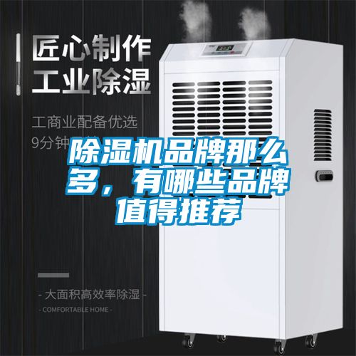除濕機(jī)品牌那么多，有哪些品牌值得推薦