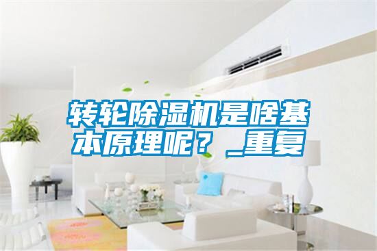 轉(zhuǎn)輪除濕機(jī)是啥基本原理呢？_重復(fù)