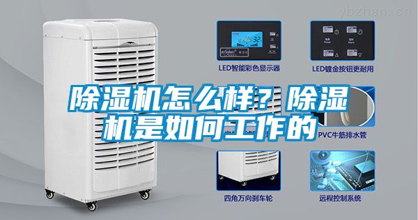 除濕機(jī)怎么樣？除濕機(jī)是如何工作的