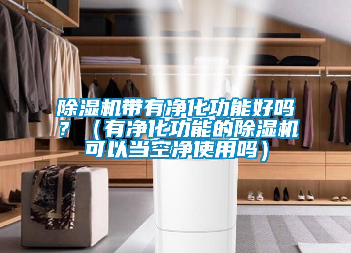 除濕機帶有凈化功能好嗎？（有凈化功能的除濕機可以當空凈使用嗎）