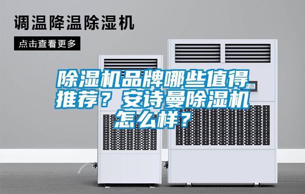 除濕機品牌哪些值得推薦？安詩曼除濕機怎么樣？