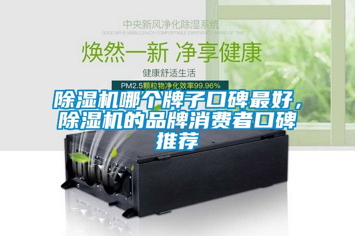 除濕機哪個牌子口碑最好，除濕機的品牌消費者口碑推薦