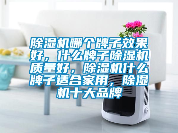 除濕機(jī)哪個(gè)牌子效果好，什么牌子除濕機(jī)質(zhì)量好，除濕機(jī)什么牌子適合家用，除濕機(jī)十大品牌