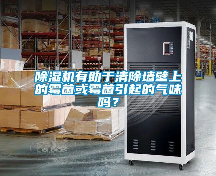 除濕機(jī)有助于清除墻壁上的霉菌或霉菌引起的氣味嗎？