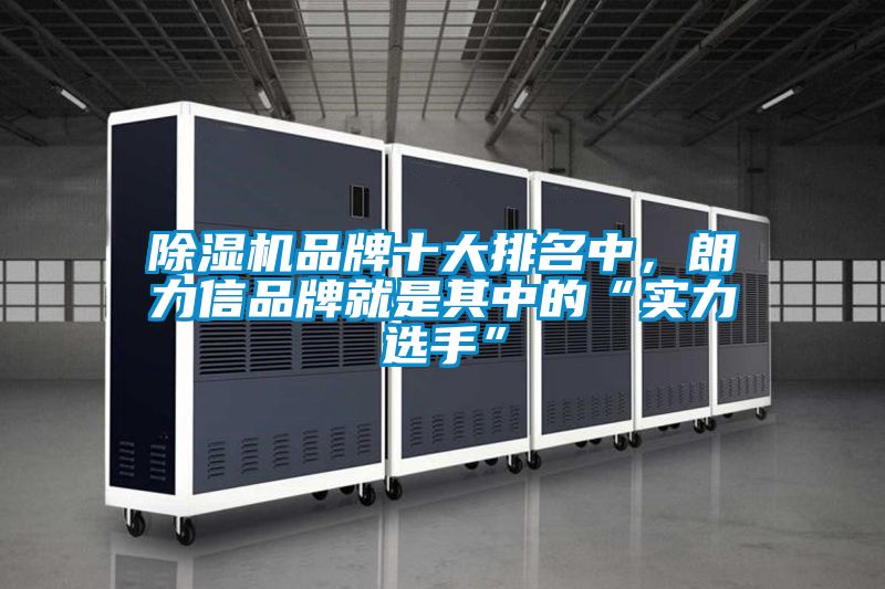 除濕機(jī)品牌十大排名中，朗力信品牌就是其中的“實(shí)力選手”