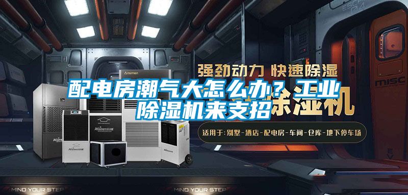 配電房潮氣大怎么辦？工業(yè)除濕機(jī)來(lái)支招