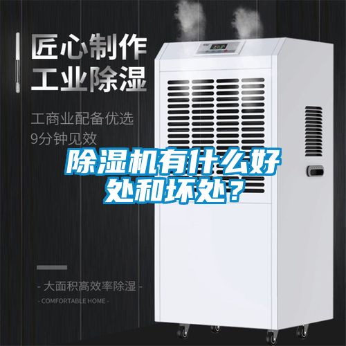 除濕機有什么好處和壞處？