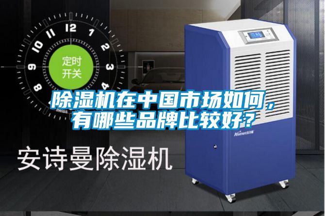 除濕機(jī)在中國市場(chǎng)如何，有哪些品牌比較好？