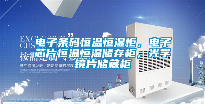 電子條碼恒溫恒濕柜，電子芯片恒溫恒濕儲存柜，光學(xué)鏡片儲藏柜