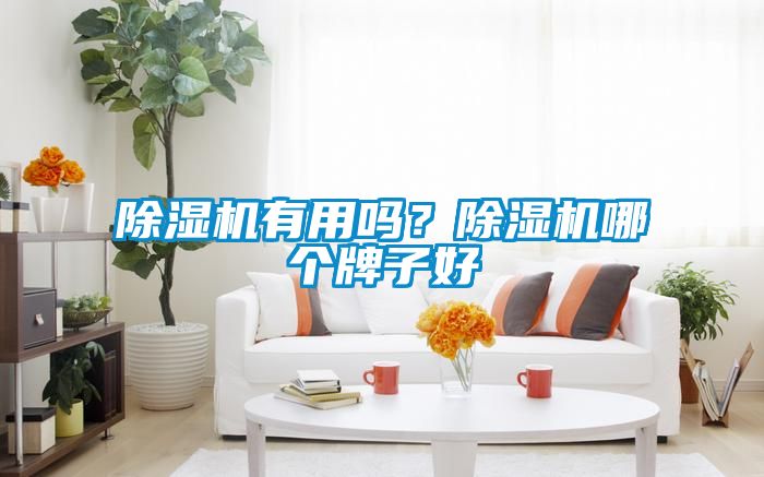 除濕機(jī)有用嗎？除濕機(jī)哪個(gè)牌子好
