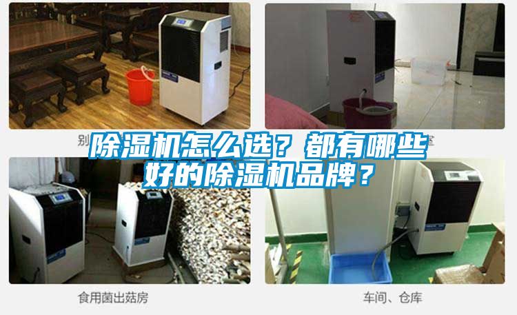 除濕機(jī)怎么選？都有哪些好的除濕機(jī)品牌？