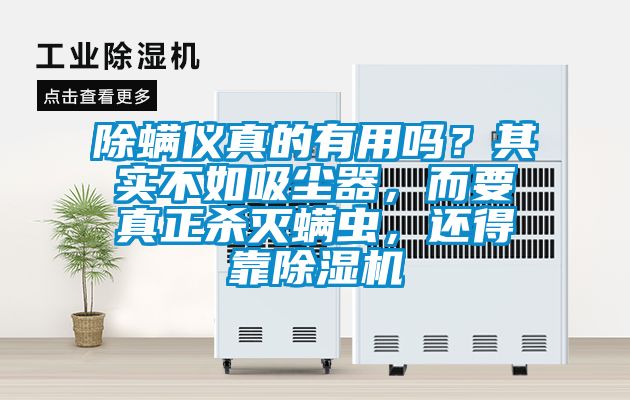 除螨儀真的有用嗎？其實(shí)不如吸塵器，而要真正殺滅螨蟲，還得靠除濕機(jī)