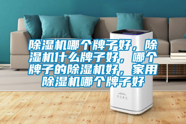除濕機(jī)哪個(gè)牌子好，除濕機(jī)什么牌子好，哪個(gè)牌子的除濕機(jī)好，家用除濕機(jī)哪個(gè)牌子好