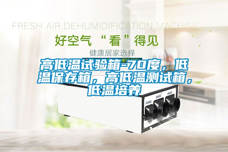 高低溫試驗(yàn)箱-70度，低溫保存箱，高低溫測(cè)試箱，低溫培養(yǎng)