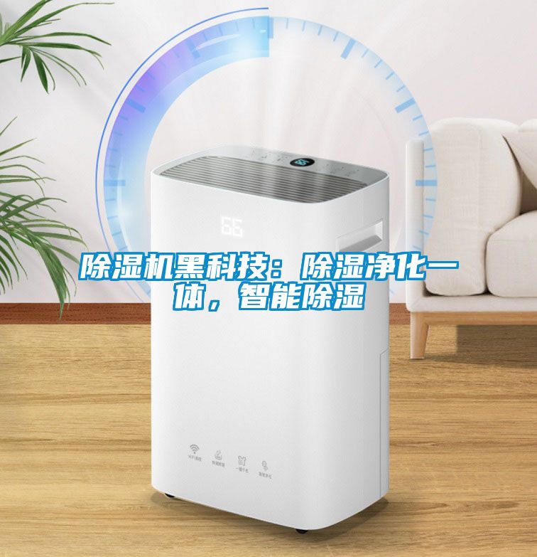 除濕機(jī)黑科技：除濕凈化一體，智能除濕