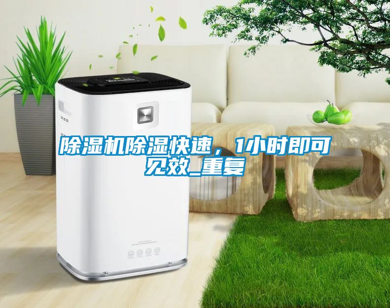 除濕機除濕快速，1小時即可見效_重復(fù)