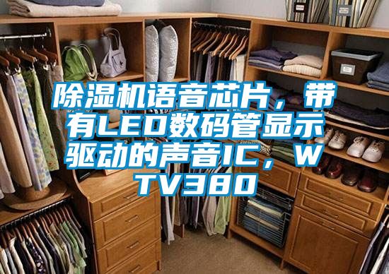 除濕機語音芯片，帶有LED數(shù)碼管顯示驅(qū)動的聲音IC，WTV380