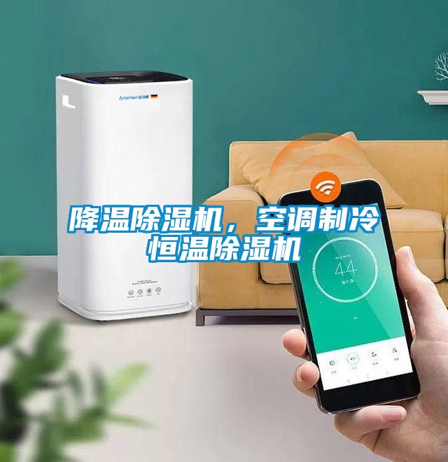 降溫除濕機(jī)，空調(diào)制冷恒溫除濕機(jī)