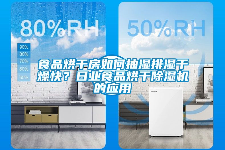 食品烘干房如何抽濕排濕干燥快？日業(yè)食品烘干除濕機的應(yīng)用