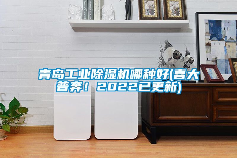 青島工業(yè)除濕機(jī)哪種好(喜大普奔！2022已更新)