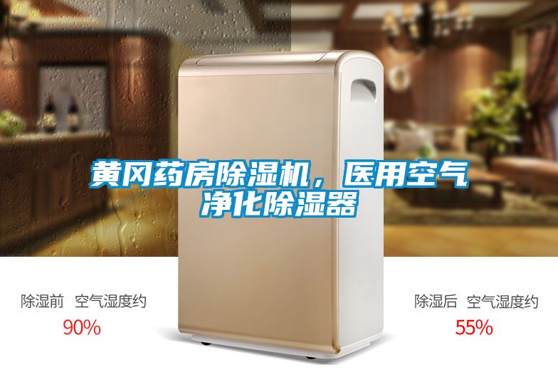 黃岡藥房除濕機，醫(yī)用空氣凈化除濕器