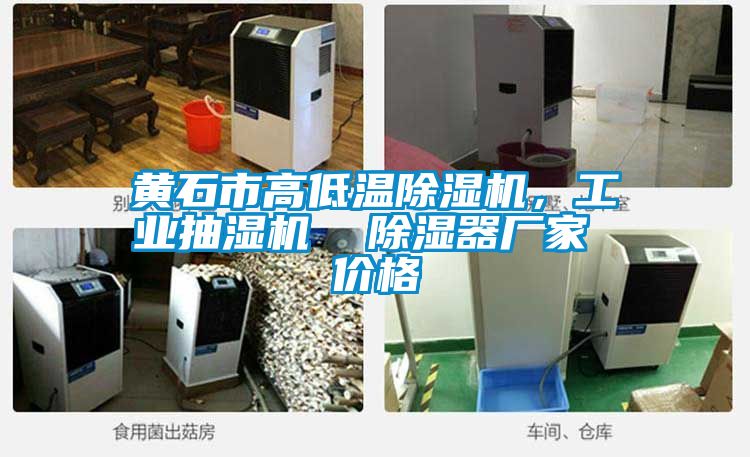 黃石市高低溫除濕機(jī)，工業(yè)抽濕機(jī)  除濕器廠家 價(jià)格