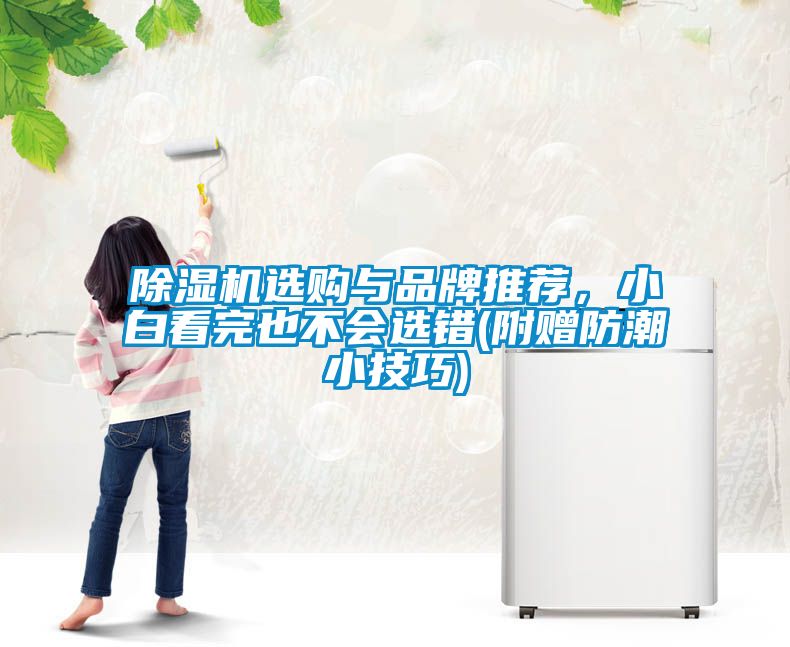 除濕機(jī)選購與品牌推薦，小白看完也不會選錯(附贈防潮小技巧)
