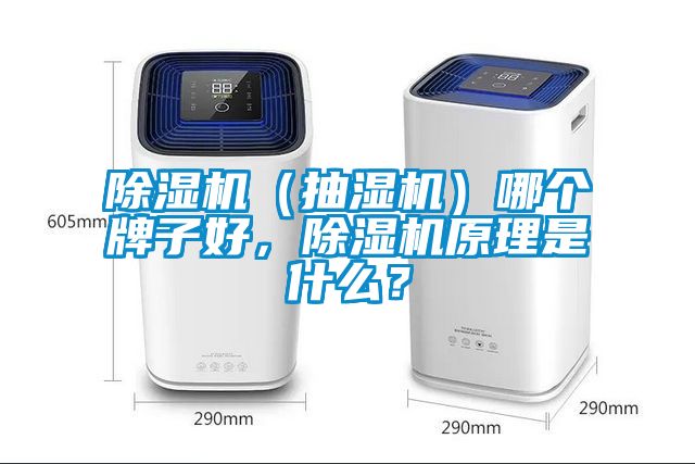 除濕機（抽濕機）哪個牌子好，除濕機原理是什么？