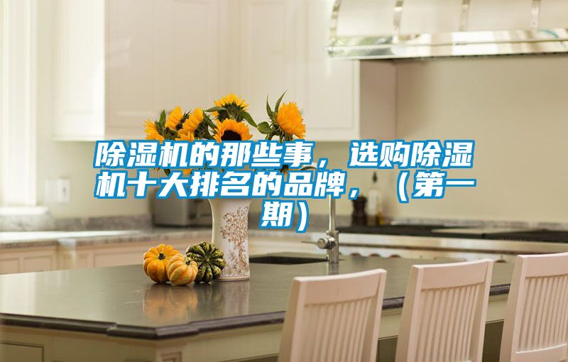 除濕機的那些事，選購除濕機十大排名的品牌，（第一期）