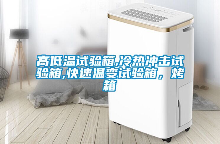 高低溫試驗(yàn)箱,冷熱沖擊試驗(yàn)箱,快速溫變?cè)囼?yàn)箱，烤箱
