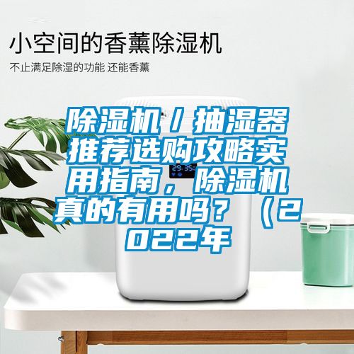 除濕機(jī)／抽濕器推薦選購攻略實(shí)用指南，除濕機(jī)真的有用嗎？（2022年