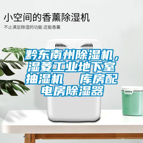 黔東南州除濕機，濕菱工業(yè)地下室抽濕機  庫房配電房除濕器