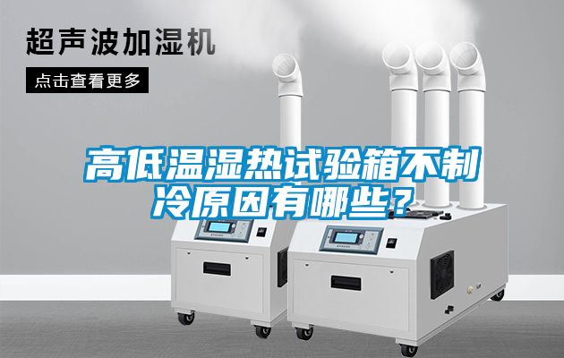 高低溫濕熱試驗箱不制冷原因有哪些？