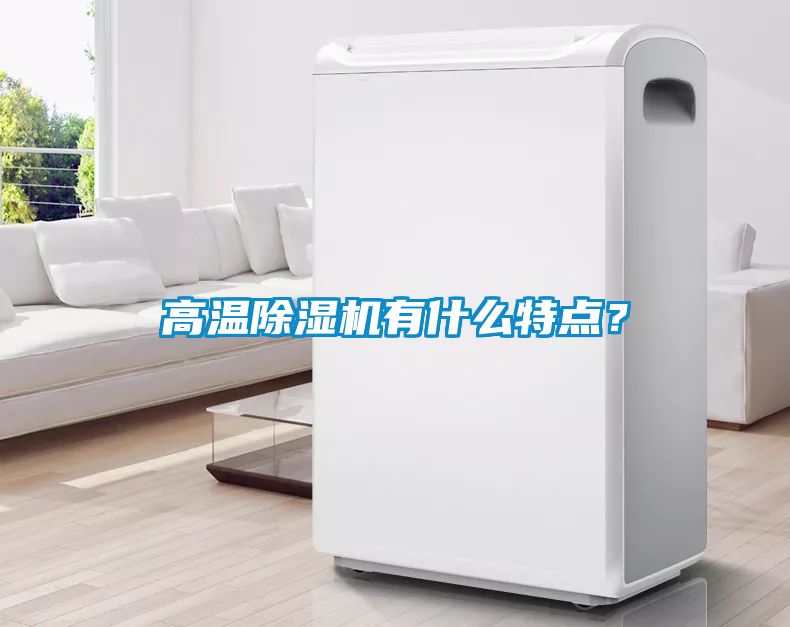 高溫除濕機(jī)有什么特點(diǎn)？