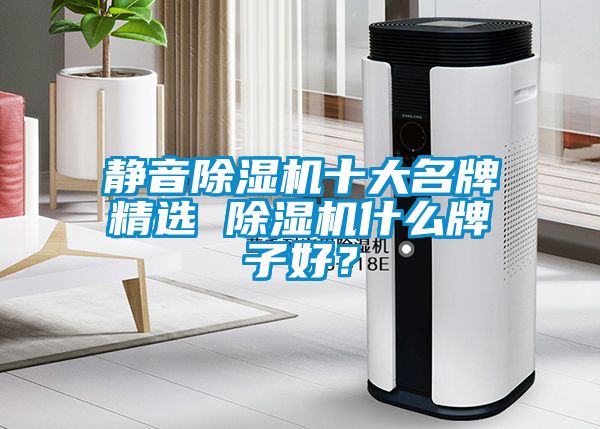 靜音除濕機(jī)十大名牌精選 除濕機(jī)什么牌子好？