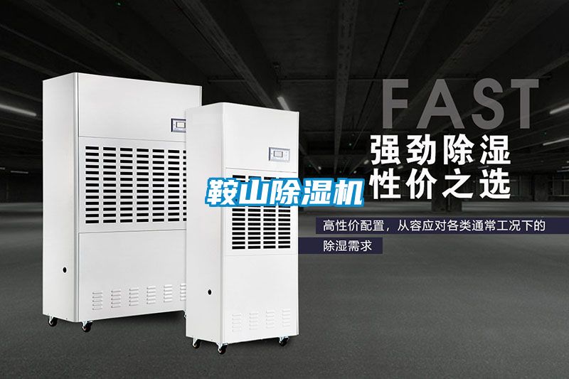 鞍山除濕機