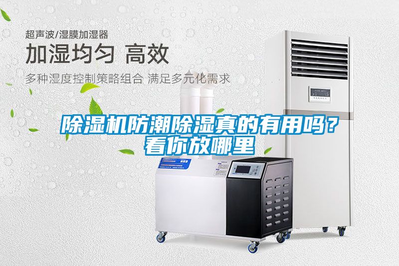 除濕機(jī)防潮除濕真的有用嗎？看你放哪里